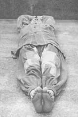 jujo31a