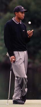 Tiger Woods