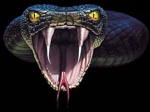 Reptile's Home Page