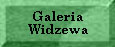 Galeria Widzewa