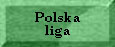 Polska liga