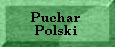 Puchar Polski