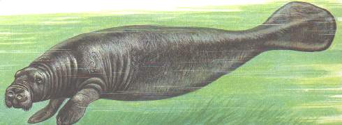 DUboi.jpg (14411 bytes)