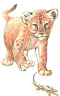 SOBRE.jpg (4591 bytes)