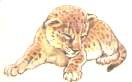 FIL.jpg (2569 bytes)