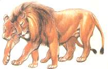 NAMO.jpg (6186 bytes)