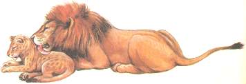 PAIEFIL.jpg (6107 bytes)