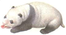 500.jpg (3914 bytes)