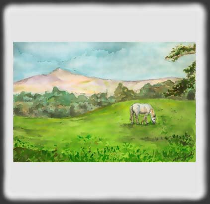 the name of picture is 'on the grass'