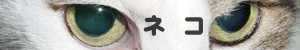 �l�R