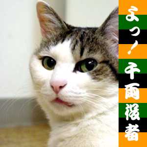 ���! �痼����