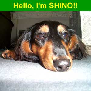 Hello!!