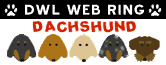 DWL WEB RING