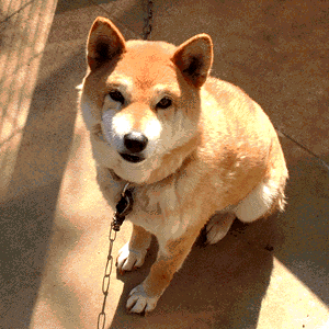 What?