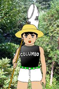 Columo in feild