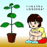 Breeding