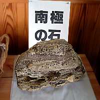 本物かな?