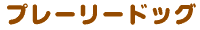 �v���[���[�h�b�O