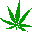 Pot