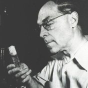 Hermann Joseph M�ller