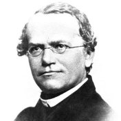 Gregor Johann Mendel