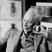 Alfred Sturtevant