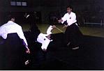 stick defense 1