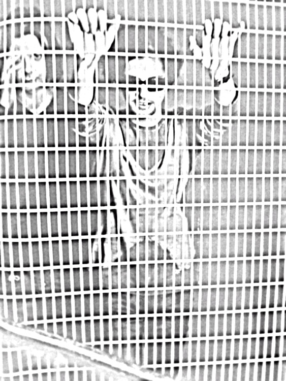 Brian... :)