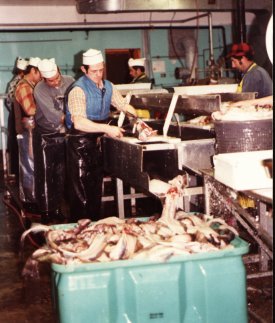 cutting fish