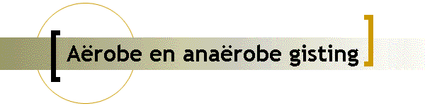 A�robe en ana�robe gisting