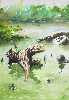 Troncos en el manglar
