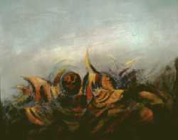 La Carnada