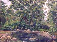El Pozo