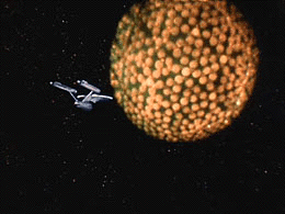 First Federation