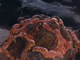 Horta