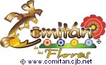 Comit&aacute;n de las Flores