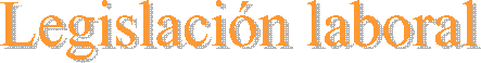 El Comit� de Empresa 