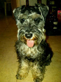 brandy