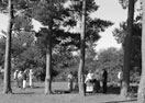 Picnic and Gramaphone.