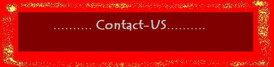 Contact-US