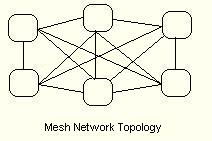 picture of mesh network