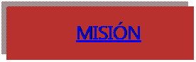 Cuadro de texto:             MISI�N 