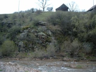 Rau