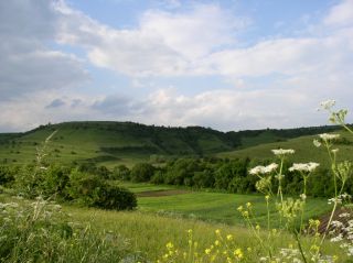 Peisaj, Valeni