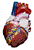 coracao.gif (31848 bytes)