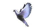 �Hi, God bless you!