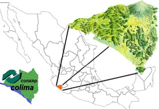 Mapa Conalep Colima
