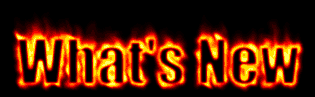This IS NOT A LINK! Look below!