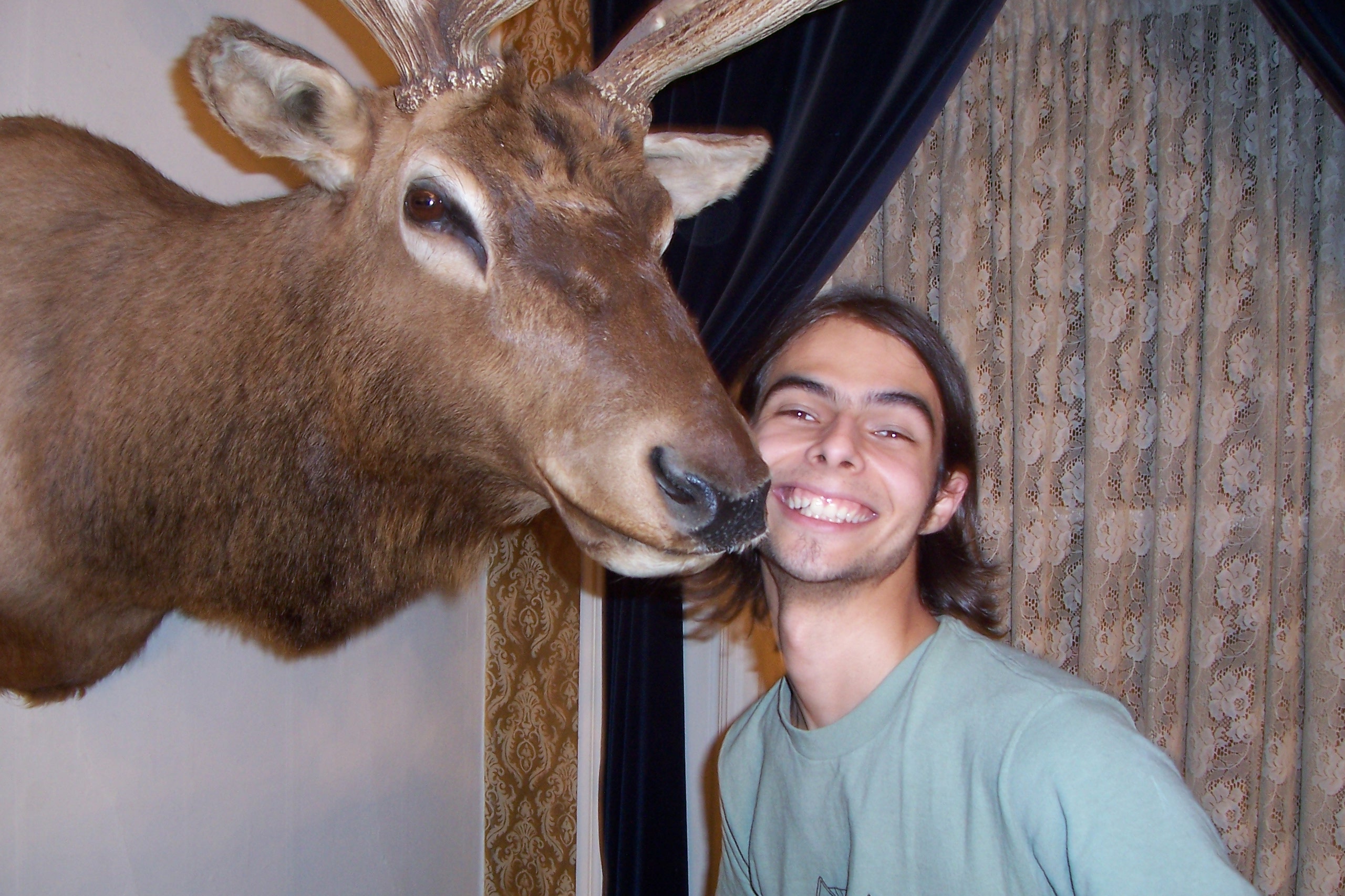 Stop Eating Sentient Beings, www.meatjunkie.com