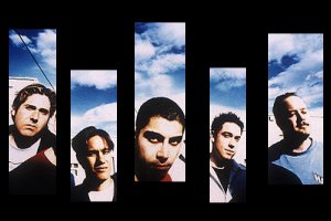 Zebrahead